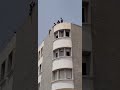 عمال المتعاقدين عبر كامل تراب ولاية سيدي بلعباس يحتجون أمام مقر البلدية لعدم إدماجهم في مناصب دائمة