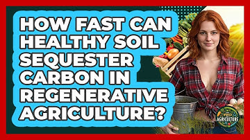 How Fast Can Healthy Soil Sequester Carbon In Regenerative Agriculture? - The World of Agriculture