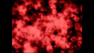 2052 Prophecies by Paul V. Suffriti