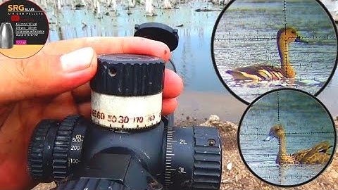 MAIN TURRET ❗ JARAK JAUH TETAP CROS BERBURU BELIBIS SANGAT BANYAK PAKAI SRG SLUG