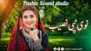Nawi Tappy Naseeb | New Pashto Tappy 2026 | Romantic Pashto Song | Pashto Sound Studio