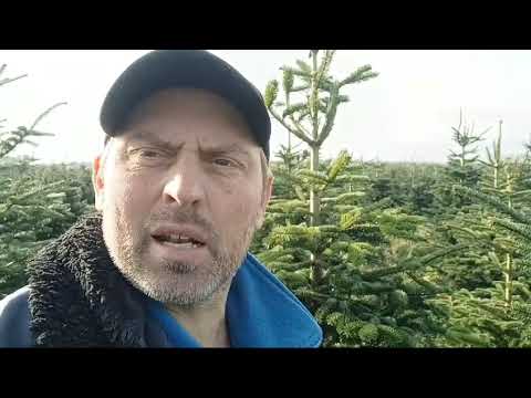 FDF snoeihard voor BBB