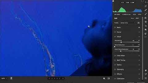 Digital Demo #12  - Camera RAW  Detail Panel