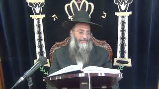 פרשת בא תשפג parashat bo 2023said by Rabbi Menachem Avraham Biton Kfar saba
