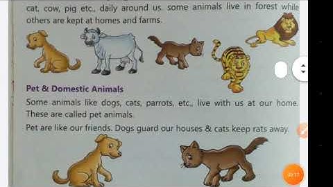 Science class 2 chapter-4[Animals-Our Friends]part-1