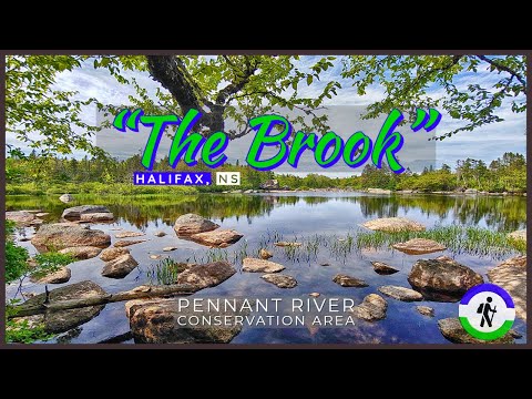 Roadside Hidden Gem - Pennant River Conservation Lands in Halifax, NS