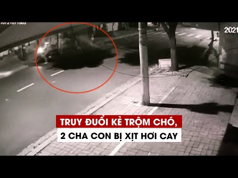 Video Truy đuổi kẻ trộm chó, 2 cha con bị xịt hơi cay - youtube