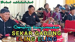 GENDING SEKAR GADUNG & ELING ELING BANYUMASAN - EBEG PAKUMAS KORCAM LUMBIR 🇮🇩 screenshot 5