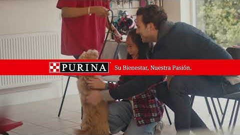 Compromisos Purina - Adopción mascotas sin hogar
