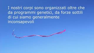 Le Forze Sottili P. Benda Radionica4