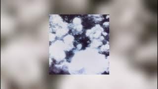 𝐃𝐨𝐯𝐞 - 𝐝𝐨𝐥𝐥 𝐯𝐞𝐫 / 𝐚𝐧𝐭𝐢𝐡𝐨𝐧𝐞𝐲 / 𝐢𝐧𝐬𝐭𝐫𝐮𝐦𝐞𝐧𝐭𝐚𝐥