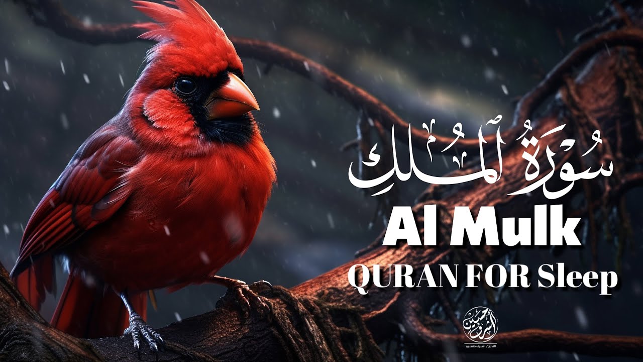 Surah Al‑Mulk Full Recitation Before Sleep | Protection from Grave & Inner Peace | Calm Night Quran