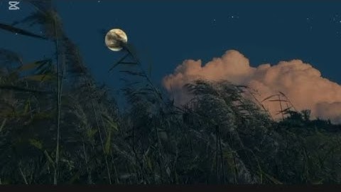 القارئ عبد الرحمن الماجد ماتيسر من سورة النساء بدون مؤثرات صوتية