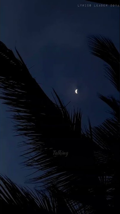 Talking To The Moon (WhatsApp Status)
