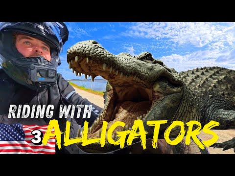 A Close Call Riding Through Florida's Real Life Dinosaur Park!
