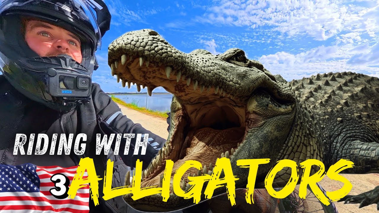 Опасная поездка по настоящему парку динозавров во Флориде!