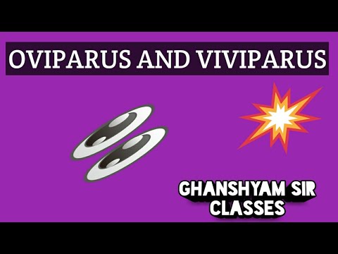 What are differences between oviparous and viviparous animals ...