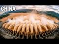 Inside the Massive Three Gorges Dam – China’s $50 Billion Engineering Wonder (Full Process) |