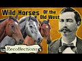 Wild Horses in the Old West, Described by Robert Wright (Recollections)
