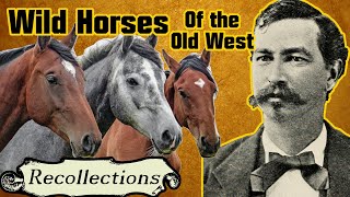 Wild Horses in the Old West, Described by Robert Wright (Recollections)