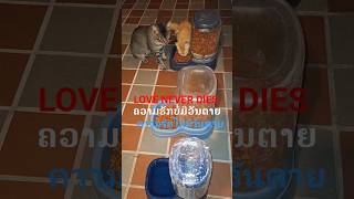 you Are My Inspiration   