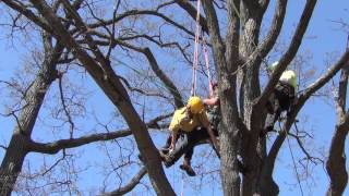 MAC-ISA 2016 Aerial Rescue - 1st Place