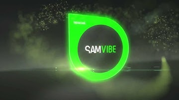 SAM VIBE Introduction
