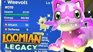 Roblox Loomian Legacy Weevolt Evolution Free H Robux Roblox Anniversary Giveaway - how to evolve a weevolt in loomian legacy roblox
