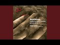 Miniature de la vidéo de la chanson Symphony No. 2 In D Major, Op. 36: I. Adagio Molto - Allegro Con Brio