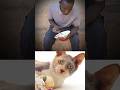 Funny Cat Video 😂😂😂#Shorts#Funkis #fails #memes
