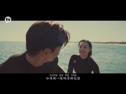 [MV] 草娥 (AOA(초아) - 가시 [都市男女的愛情法(도시남녀의 사랑법) OST Part.9] 中韓字幕