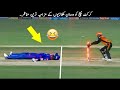 18 funny moments in cricket  top x tv