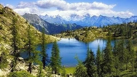 آيات بينات بصوت القارئ عبد الباسط عبد الصمد