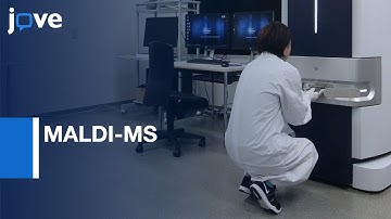 MALDI-MS for Visualizing Amyloid Deposits in the Brain | Protocol Preview