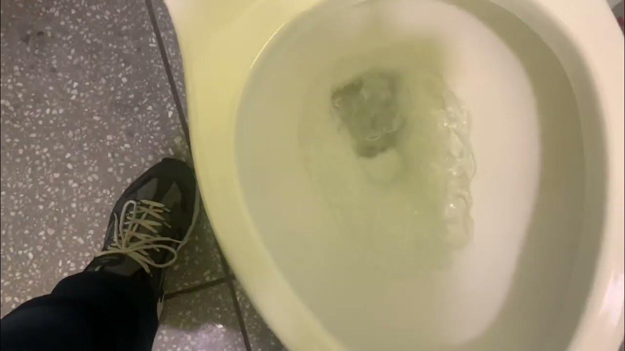 Kohler Santa Rosa Toilet YouTube