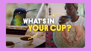 The coffee fix: Brewing a better world