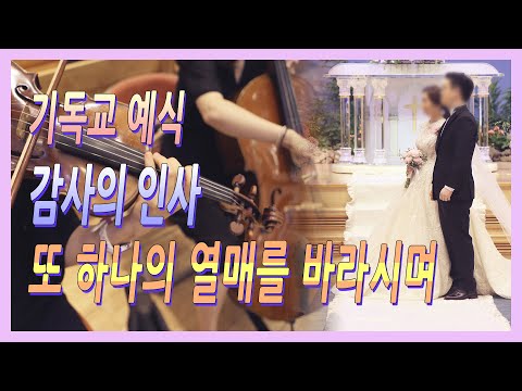 또 하나의 열매를 바라시며 예식음악 감사의 인사 결혼식 연주 실황