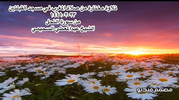 تلاوة مختارة من صلاة المغرب في مسجد القبلتين  ٢٣-٢-١٤٤١ من سورة النحل  الشيخ عبدالمعطي السحيمي