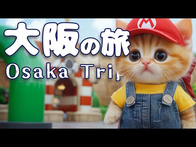 Kitten's Journey] The sights and flavors a kitten encounters in