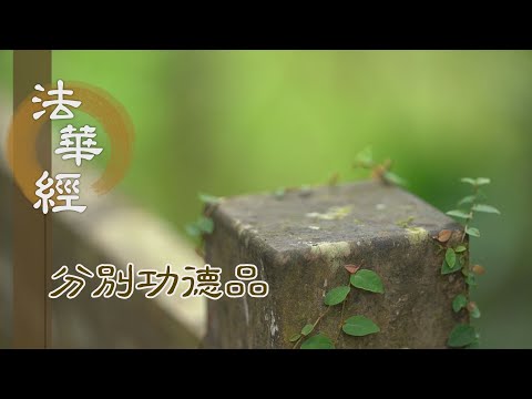 【靜思妙蓮華】法華經分別功德品 - 為一切智 發大精進 - 20231219 第1570集