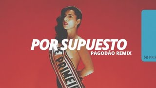 Marina Sena - Por Supuesto (PAGODÃO Remix) FZIRO NO BEAT