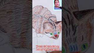 Realistic Cat Drawing With Colour Pencils|#shorts #drawing #catdrawing