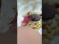 Sesimpel Itu Cara Mengupas Jengkol