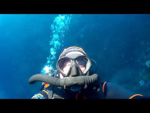 CDM - Tombant Tiboulen de Frioul - 25/10/2020 - HD