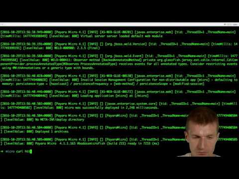 Payara Micro And Docker
