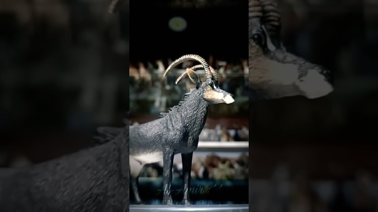 Sable antelope by Mojo 