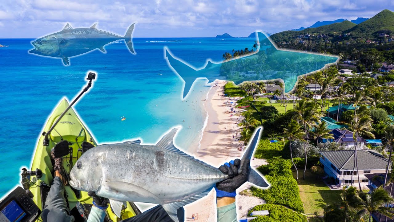 Awesome day kayak fishing in Hawaii YouTube