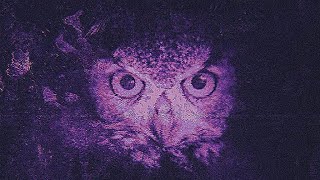 𝐆𝐚𝐬𝐭𝐨𝐧 𝐅𝐢𝐨𝐫𝐞 - 𝐔𝐧𝐭𝐢𝐭𝐥𝐞𝐝 𝟕𝟖