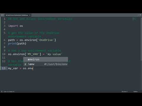 Set and access environment variables in Python | Python Examples | Python Coding Tutorial