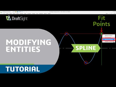 Remove Fit Point in Spline Using Entity Grip